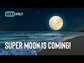 The Full Moon Calendar 2023 Will Be Amazing Super Moon Night Sky Magic