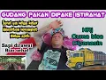 Lagu KRj cuma dipanasin ‼️Kepastian berangkat belum ada//Surat ijin belum ada kepastian