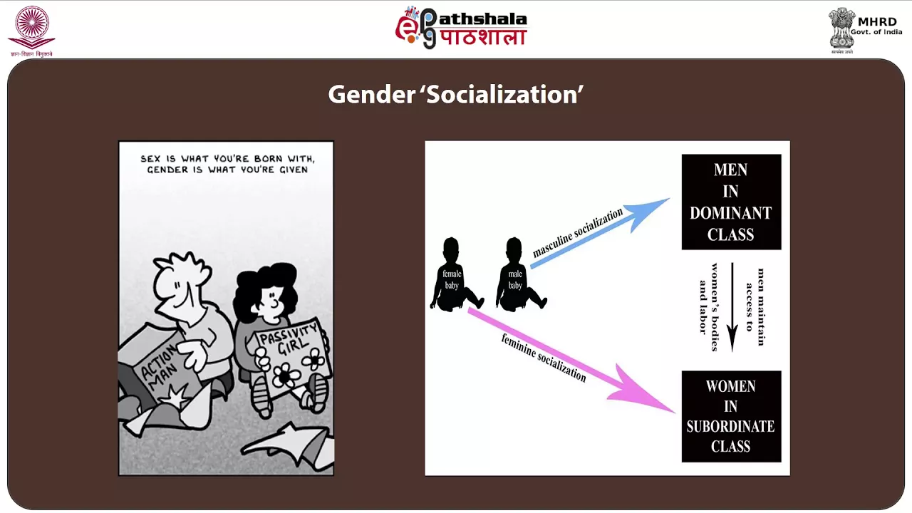 Sex and Gender 47