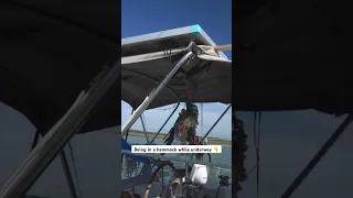 #hammocklife #sailing