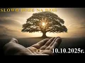 Download Lagu Słowo Boże na dziś 10.10.2025r.