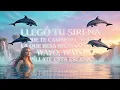 🥰🏝 ARIA VEGA - CULE POCO (sirena_besarico_costeña) (Lyric Video)