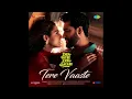 Tere Vaaste  - Zara Hatke Zara Bachke Audio   Vicky Kaushal   Sara Ali Khan   Sachin Jigar