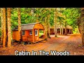 Washington Mountain Cabin For Sale Cabins In The Woods Washington Real Estate 560k