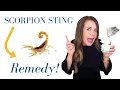 Lagu 🦂Remedy: Scorpion Stings!