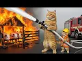 Download Lagu Mama Cat Trims Fur on the Farm and Makes Tiger Hat For Kittens At Home🐾🎩🐯