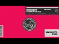 David Guetta & Martin Solveig - Thing For You (David Guetta remix)