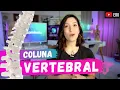 Lagu COLUNA VERTEBRAL - Anatomia