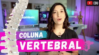 COLUNA VERTEBRAL - Anatomia