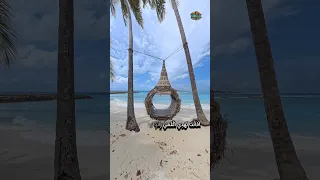 أفأنت تهدي العمي ولو كانوا لا يبصرون  بصوت القارئ عبد الرحمن مسعد  قرآن كريم دندنها