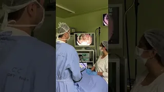 Infestação por VERMES na COLONOSCOPI0!  Dr.Fernando Lemos - Planeta Intestino.