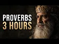 3 Hours of Teachings of Proverbs to Transform Your Mind Renew Your Spirit and Reset Your Life