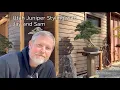 Bonsaify Styling a Utah Juniper Bonsai with Jay McDonald and Sam Tan