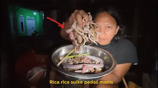 5 HARI SURVIVAL RICA RICA SUIKE DAN ULAR POHON 