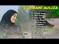 Download Lagu CUT RANI -  SALAHMU SENDIRI | OBATI RINDUKU | RINDU TAPI MALU || LAGU POP  MELAYU TANPA IKLAN