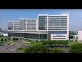 Why UT Southwestern Testimonials