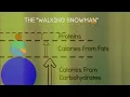 A Simple MATLAB Animation Calorie Consumption