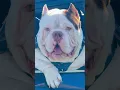 Download Lagu Lady Gaga always remember us this wayレディーガガ　リラックスミュージックSan Diego, California USA relaxing music ￼￼