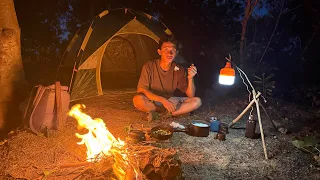 I Found Rare Ground Mushrooms While Solo Camping in the Forest!