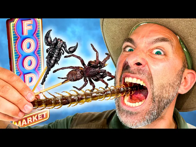 Video: Instant Regret! Thailand's Bug Eating Challenge