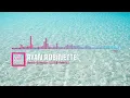 Ryan Robinette - Beach Bummin' [SEGØ Remix] (Official Audio Visualizer)