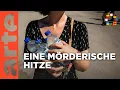 Download Lagu Extremsommer in Europa: Trifft die Hitze alle gleich? | ARTE Europa - Die Woche