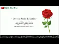 Download Lagu MAA MADDA LIKHOIRIL KHOLQI YADAA | Lirik Arab+Latin