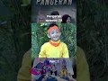 Download Lagu Pangeran episode 28