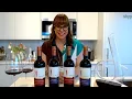 Download Lagu Go on a Chilean wine adventure with a bottle of PKNT