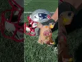 New England Patriot s Helmet paint match LIVE