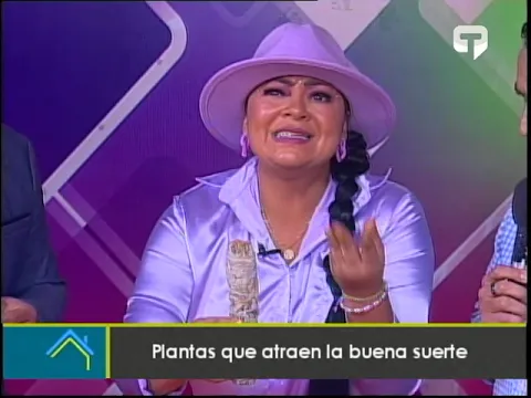 Plantas que atraen la buena suerte