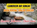Download Lagu Air beriak menimbulkan suara khas alami dan terbukti menjadi cara tepat mengatasi burung macet bunyi
