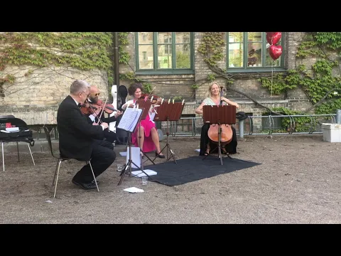 Duo Bergh, bild 5