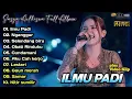Download Lagu Ilmu Padi - Sasya Arkhisna Full Album Terbaru | Nganggur,Selendang Biru | Dangdut Koplo Terbaru 2024