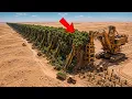 How Africa is Building a 50 Billion Wall to Stop the Sahara
