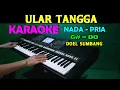 Download Lagu ULAR TANGGA - Doel Sumbang | KARAOKE Nada Pria, HD | Lagu Lawas