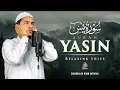 Lagu Surah Yasin (Yaseen) سورة يس | Tranquil Quran Recitation for Restful Nights #quranforsleep