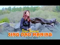 Dini Kurnia - Sing Ono Maning (Official Music Video)