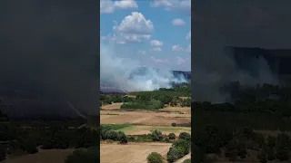 Dadia Fire Greece Dadia Fire Wildfire Evros Disaster Alexandroupoli φωτιά πυρκαγιά δαδιά  Dadia Fire Greece Dadia Fire Wildfire Evros Disaster Alexandroupoli φωτιά πυρκαγιά δαδιά