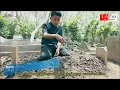 Download Lagu Ayah leonies band