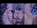 3 PRESET AM DI BAWAH 5MB \u0026 XML | SOUND YG LAGI VIRAL DI TIKTOK πΈπ€π½