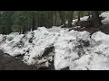 Springtime 2019 in Sky High Ranch