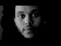 The Weeknd - Rolling Stone (Explicit) (Official Video)
