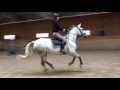 Download Lagu Lassie Pay \u0026 Jump Årsta Runsten Equestrian 90 cm