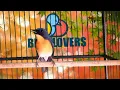 Download Lagu KICAU TLEDEKAN GUNUNG TERKEREN ‼️ SEMUA BURUNG PASTI RESPON || MASTERAN MURAI BATU DAN CUCAK IJO