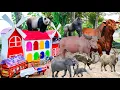 Download Lagu Wadidau‼️proses potong sapi lucu|sapi melahirkan cesar,simulasi kurban,cow,Sheep,buffalo,lion,panda