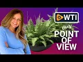 Veradek 24 Lane Round Bowl Planters Our Point Of View