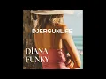 Lagu DjErgunlife - Funky Disco Mini Set 2026