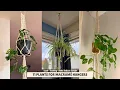 11 Indoor Plants That Look STUNNING in Macrame Plant Hangers Boho Home Decor