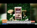 Federal government warns about microdose chocolate bars making people sick